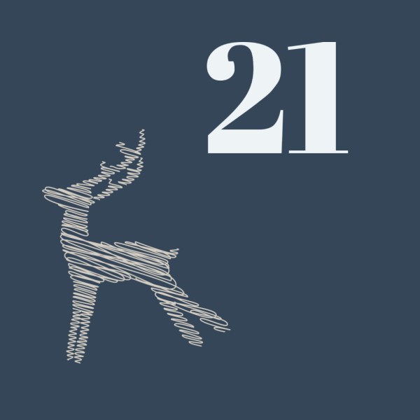 Advent Day 21 - £20 Site Credit